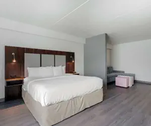 Photo 2 - Comfort Suites Mt. Juliet - Nashville Area