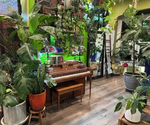 Photo 2 - Dream catcher