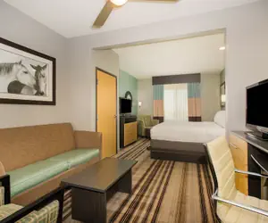 Photo 4 - Holiday Inn Express & Suites Amarillo West by IHG