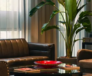 Photo 4 - Art House Hotel and Suites