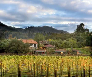 Photo 2 - Le Petit Pali St. Helena