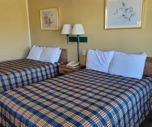 Photo 5 - Smokies Motel