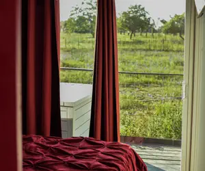 Photo 4 - Best Fredericksburg Bed & Breakfast