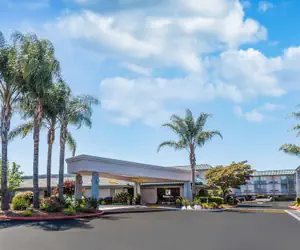 Photo 2 - Holiday Inn Dublin-Pleasanton by IHG