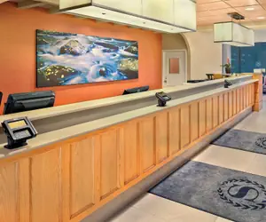 Photo 3 - Sheraton Hartford Hotel at Bradley Airport