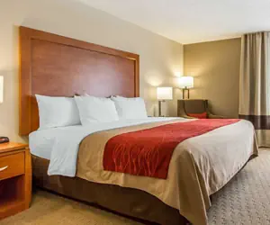 Photo 5 - Comfort Inn Valentine