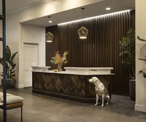 Photo 5 - The Steward, Santa Barbara, a Tribute Portfolio Hotel