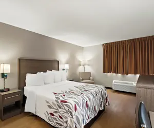 Photo 5 - Red Roof Inn Martinsburg