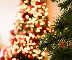 Photo 5 - The Beverly Hilton