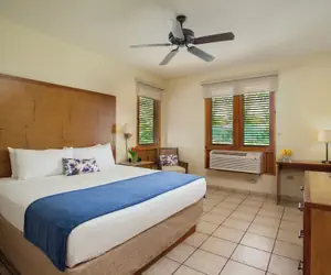 Photo 3 - Copamarina Beach Resort & Spa