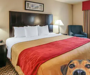 Photo 3 - Comfort Inn Troutdale - Portland East