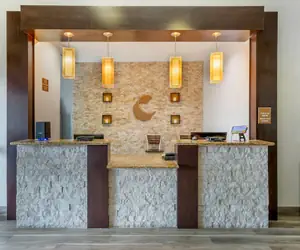 Photo 3 - Comfort Inn & Suites Houston FM1960 - Champions