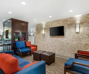 Photo 5 - Comfort Inn & Suites Houston FM1960 - Champions