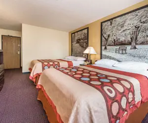 Photo 5 - Super 8 by Wyndham Franklin/Middletown Area