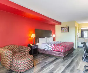 Photo 5 - Econo Lodge & Suites Clarksville near Governors Square Mall