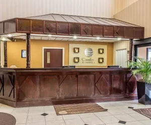 Photo 4 - Comfort Inn & Suites Ft. Jackson Maingate