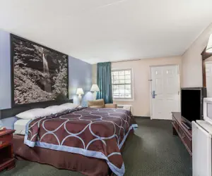 Photo 5 - Super 8 by Wyndham Kingston