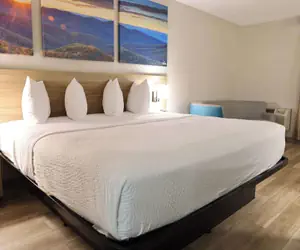 Photo 2 - Days Inn by Wyndham Kings Dominion/Doswell