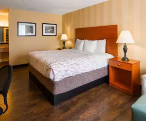 Photo 2 - Best Western Fredericksburg