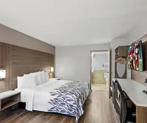 Photo 2 - Red Roof Inn Sanford