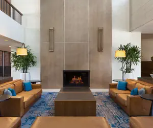 Photo 5 - Hilton Boston/Dedham