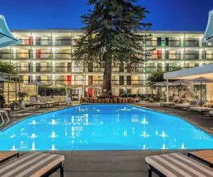 Photo 2 - Hotel Paradox, Autograph Collection