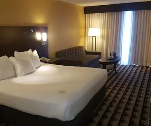 Photo 5 - M Hotel Buffalo