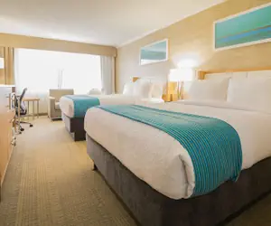 Photo 3 - Holiday Inn Greenville by IHG