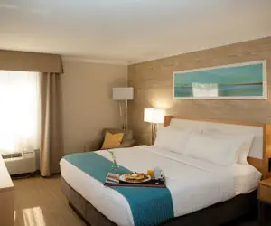 Photo 5 - Holiday Inn Greenville by IHG