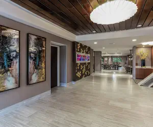 Photo 4 - SpringHill Suites by Marriott Austin The Domain Area