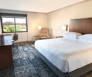 Photo 5 - Four Points by Sheraton York