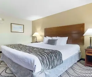 Photo 4 - SureStay Plus Hotel by Best Western Rocklin