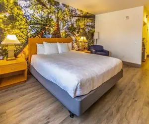 Photo 4 - The Hanford Hotel