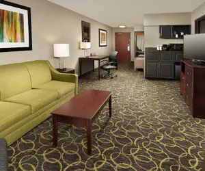 Photo 5 - Holiday Inn Express & Suites DFW - Grapevine by IHG