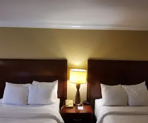 Photo 3 - Clarion Inn & Suites Central Clearwater Beach