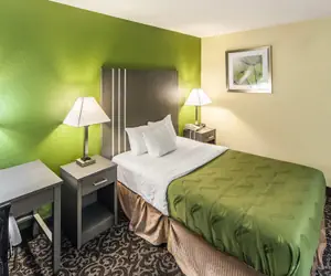Photo 5 - Quality Inn Decatur near US-224
