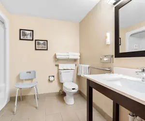 Photo 5 - Comfort Suites near Robins Air Force Base