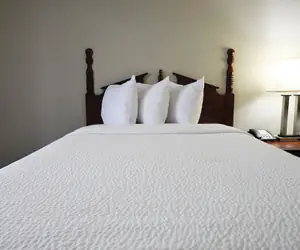 Photo 5 - Baymont by Wyndham Warner Robins