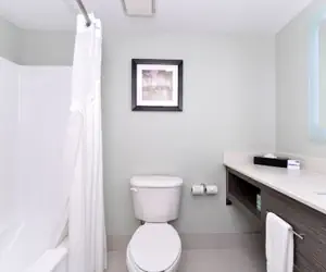 Photo 5 - Holiday Inn Express & Suites Naples North - Bonita Springs by IHG