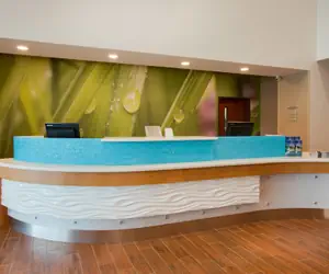 Photo 3 - SpringHill Suites by Marriott Orlando Lake Buena Vista South