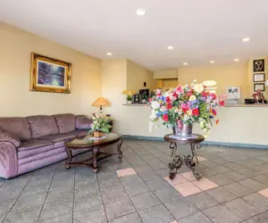 Photo 3 - Econo Lodge Colorado Springs near Airport