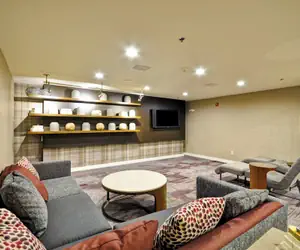 Photo 3 - Courtyard by Marriott Jacksonville Airport