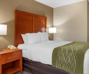 Photo 5 - Comfort Inn Oxford - University Area