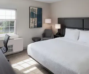 Photo 4 - Holiday Inn Express St Albans by IHG