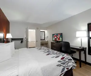 Photo 2 - Red Roof Inn Cleveland - Medina