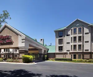 Photo 2 - Hampton Inn & Suites Tampa-North