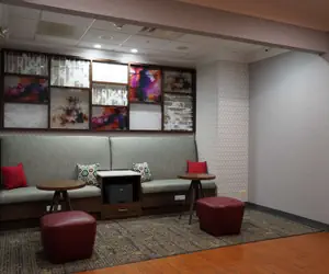 Photo 3 - Hampton Inn & Suites Chicago/Aurora