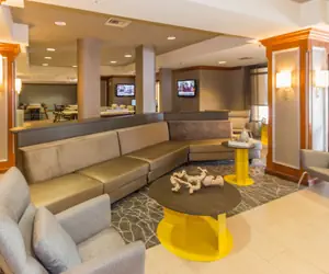 Photo 5 - SpringHill Suites by Marriott Tampa Westshore Airport