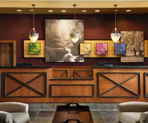 Photo 3 - Marriott's Willow Ridge Lodge