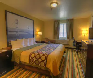 Photo 4 - Super 8 by Wyndham Mt. Pleasant